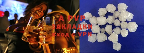 индика Баксан
