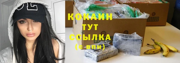 индика Баксан