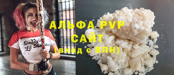 индика Баксан