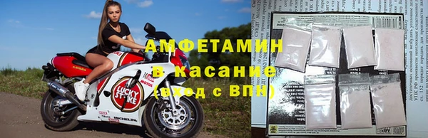 индика Баксан